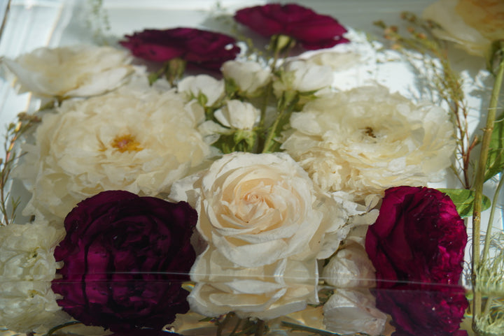 Old Money Collective